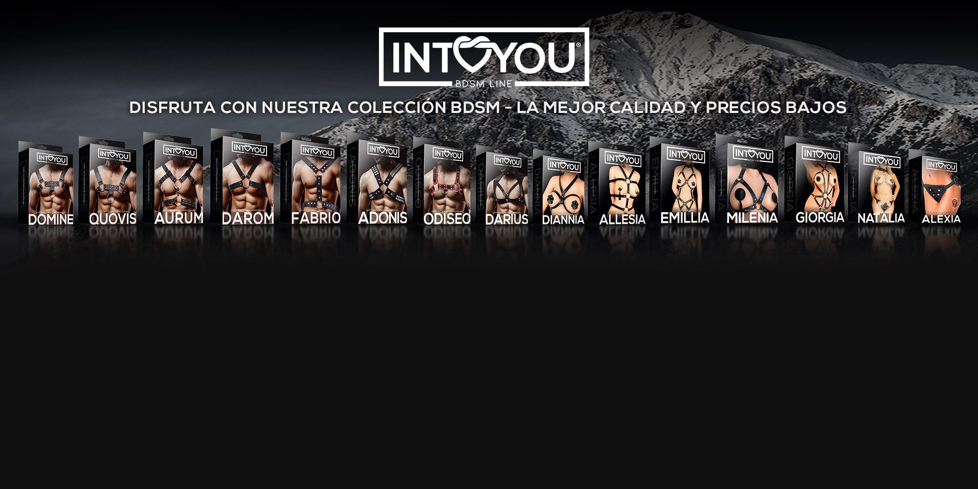 6df7a8e1d98bd291faf6d06d82ae150970444e56_BANNER_arneses_bdsm_intoyou_esp-1.jpg